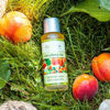 Obrázek Rostlinný olej meruňkový 50 ml Saloos