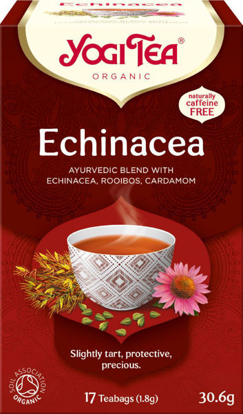 Obrázek Echinacea 31 g YOGI TEA